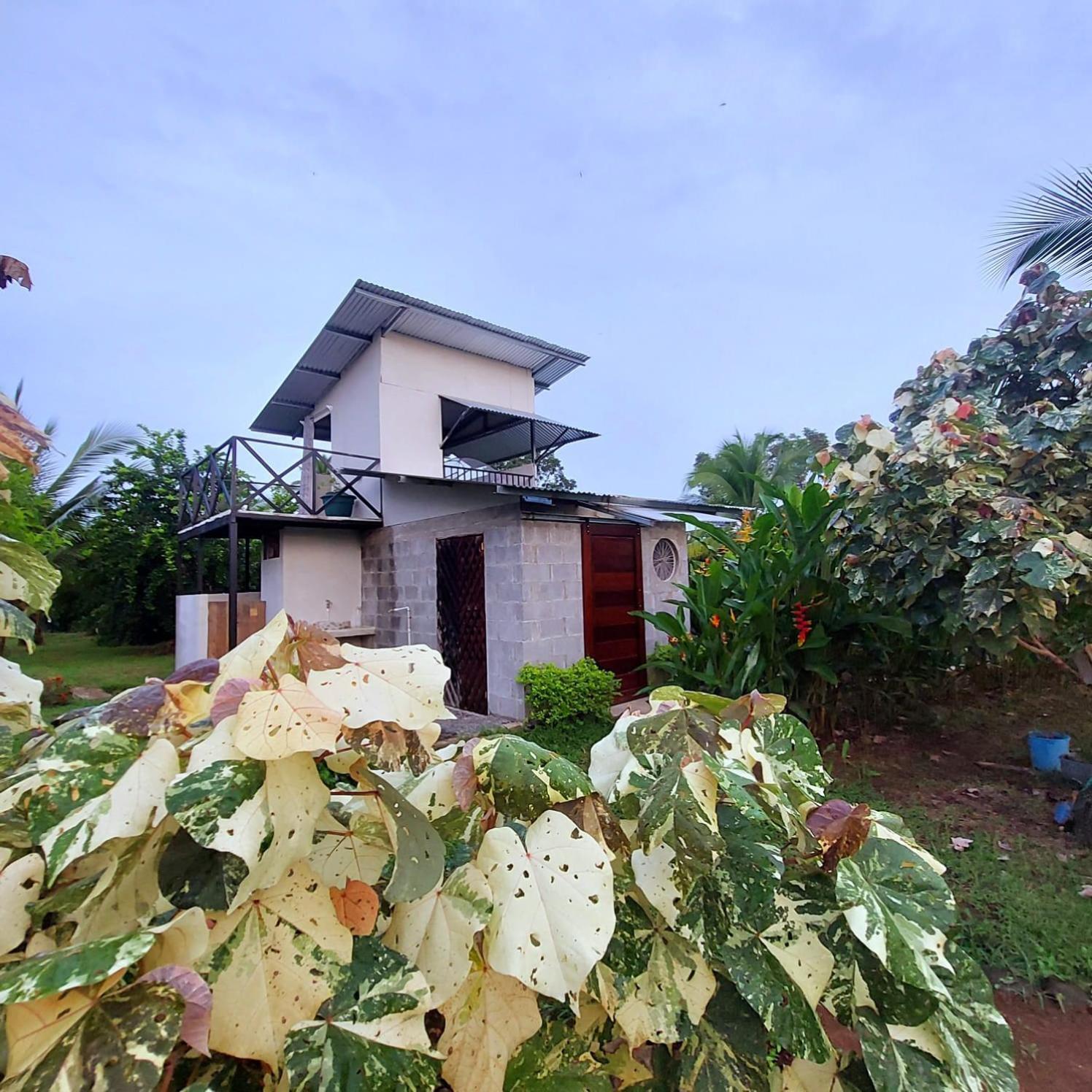 Bewak Cr Hotel Tortuguero Ngoại thất bức ảnh