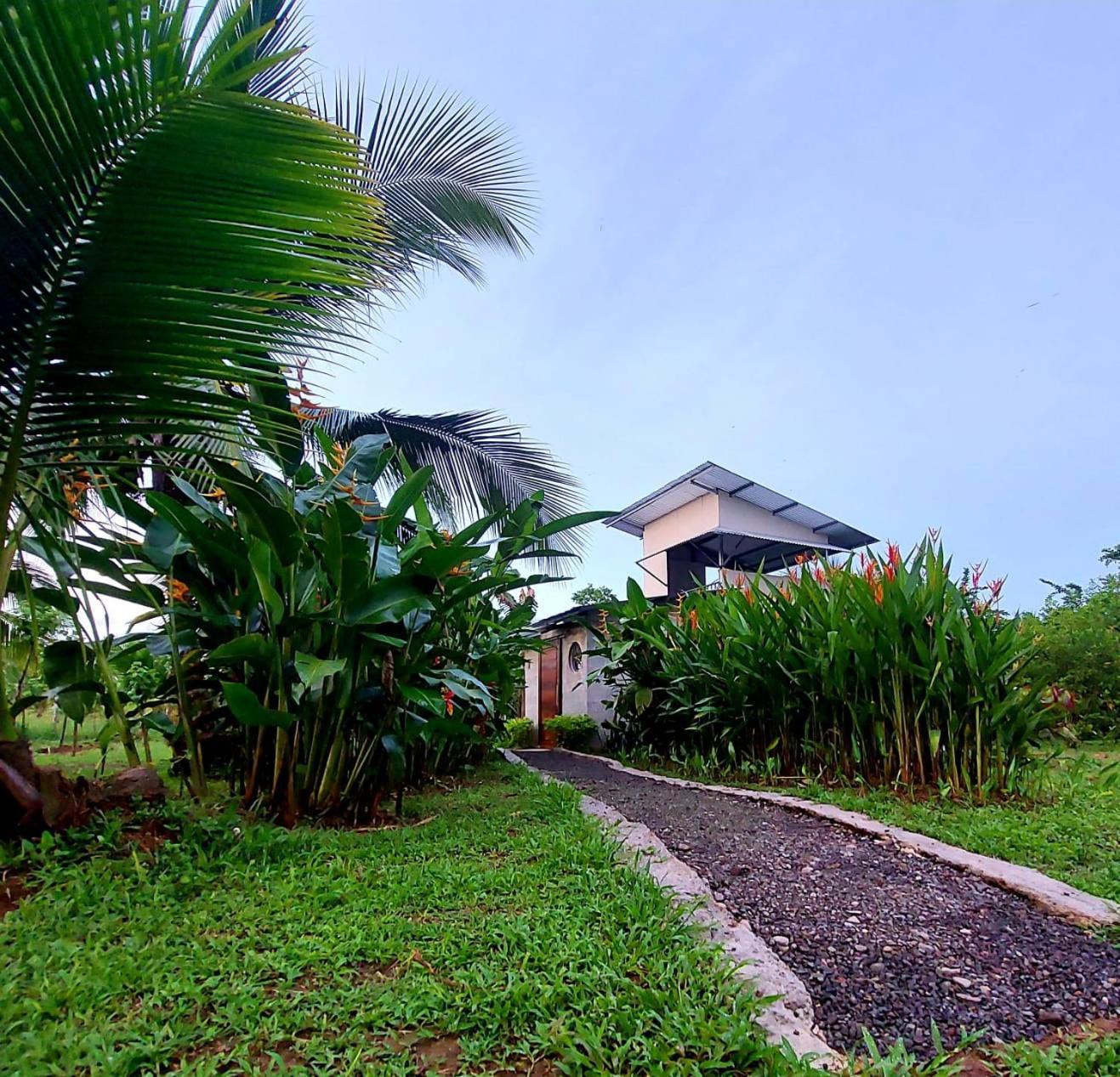 Bewak Cr Hotel Tortuguero Ngoại thất bức ảnh